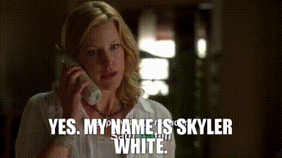 gif skyler